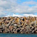 Retaining Walls