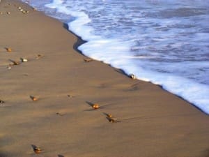 Unfortunately, Erosion of Our Shorelines Is an Ongoing Problem